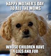Image result for Mother's Day Animal Meme