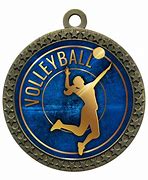 Image result for Volley Ball Award