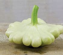 Image result for Summer Squash Oval Green