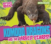 Image result for Biggest Lizard in the World Compared to Human