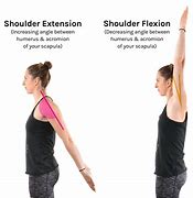 Image result for Flexion and Extension