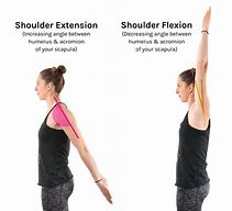 Image result for Shoulder Flexion/Extension