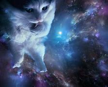 Image result for Weird Space Cat Wallpaper
