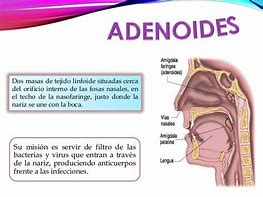 Image result for adenoices