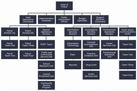 Image result for Business Department Chart