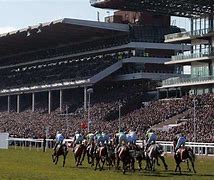 Image result for Overview of Cheltenham Racecourse