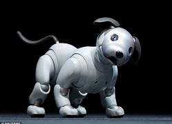 Image result for Sony Aibo Japan