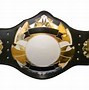 Image result for Wrestling Gold Belts