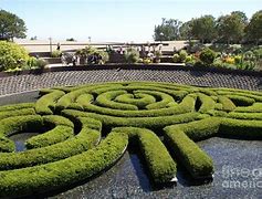 Image result for Circular Garden Maze
