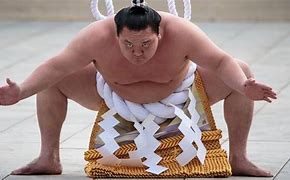 Image result for Sumo Wearing Shimenawa