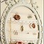 Image result for DIY Jewelry Storage Ideas
