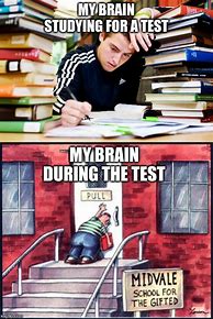 Image result for Your Brain in an Exam Meme