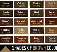 Image result for Aesthetic Brown Hex Code