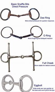 Image result for Types of Bits for Horses