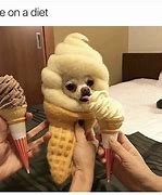 Image result for Quirky Mood Meme