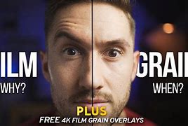 Image result for Film Grain Examples