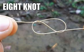 Image result for Figure 8 Fishing Knot
