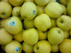 Image result for Which Apple's Are the Healthiest