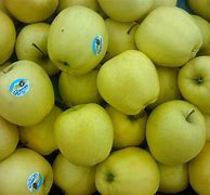 Image result for Gold Apple Fruit