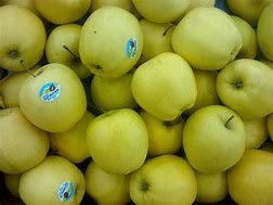 Image result for A Straight Row of Golden Apple's Vertical