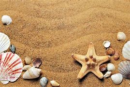 Image result for Shell and Sand Wallpaper