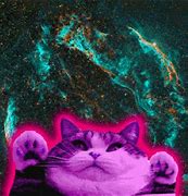 Image result for A Cat in Galaxy Colors