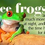Image result for Tree Frogs as Pets