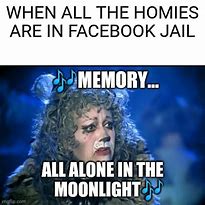 Image result for Facebook Jail Memes Funny