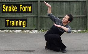 Image result for Snake Stance Kung Fu