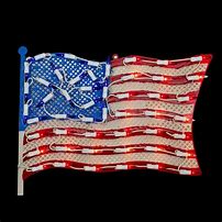 Image result for Illuminated American Flag