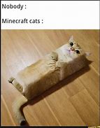 Image result for Minecraft Memes Funny Cat