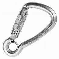 Image result for Carabiner Stainless Steel Twist Lock with Eye 11Mm