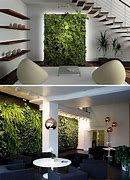 Image result for Indoor Wall Covering Plants