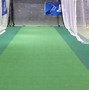 Image result for Artificial Turf for Box Cricket