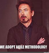 Image result for Agile Sprint Memes