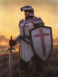 Image result for Edgy Crusader