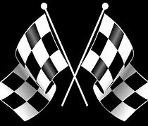 Image result for Flags in Racing