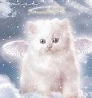 Image result for Anime Angel Cat