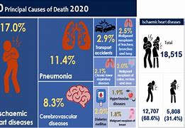 Image result for Common Diseases in Malaysia