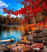 Image result for Awesome Fall Scenery