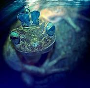 Image result for Mythical Creatures Frog