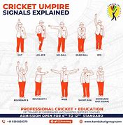 Image result for Cricket Signals