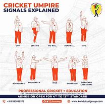 Image result for Cricket Umpiring Signals