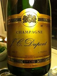 Image result for Vincent Carre Champagne Brut a Trepail