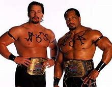 Image result for WWF Wrestling Champions