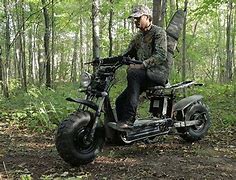 Image result for All Terrain Electric Scooter for Adult