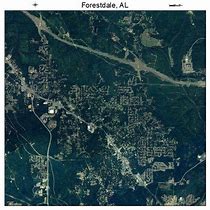 Image result for Forestall Alabama