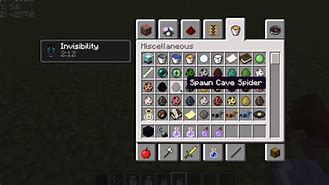 Image result for How to Turn Invisible in Minecraft