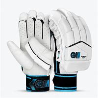 Image result for GM Cricket Gloves
