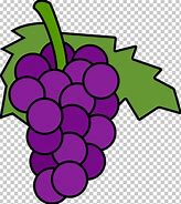 Image result for Ornamental Grape Vine